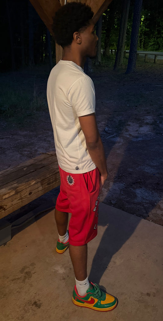 NEW! “Renegade Lifestyle” shorts